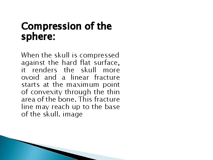 Compression of the sphere: When the skull is compressed against the hard flat surface,