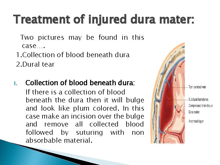 Treatment of injured dura mater: Two pictures may be found in this case…. 1.
