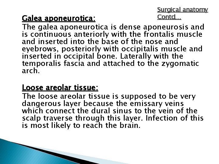 Surgical anatomy Contd… Galea aponeurotica: The galea aponeurotica is dense aponeurosis and is continuous