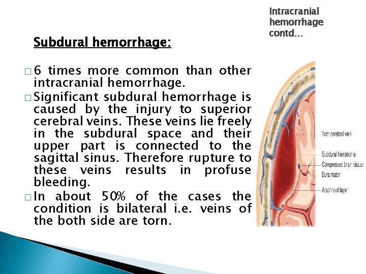 Subdural hemorrhage: � 6 times more common than other intracranial hemorrhage. � Significant subdural