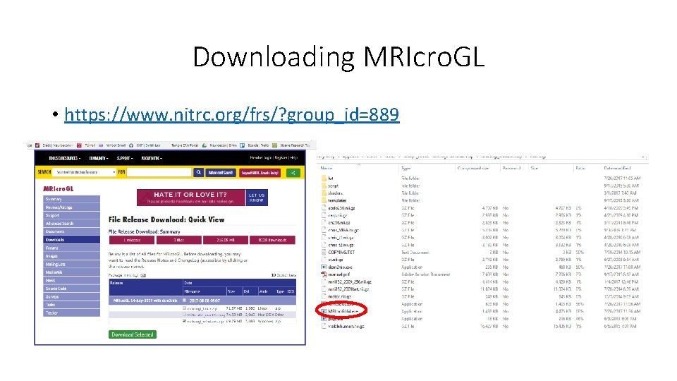 Downloading MRIcro. GL • https: //www. nitrc. org/frs/? group_id=889 
