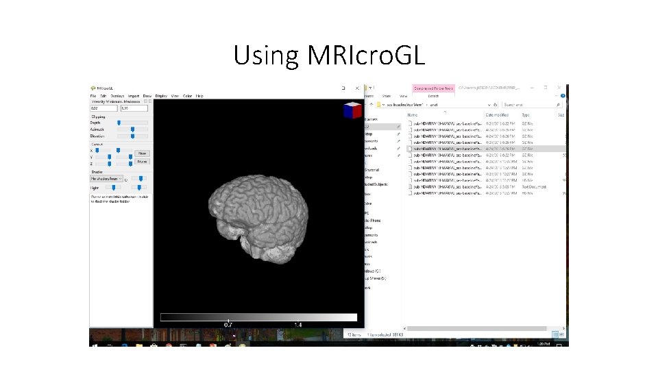 Using MRIcro. GL 