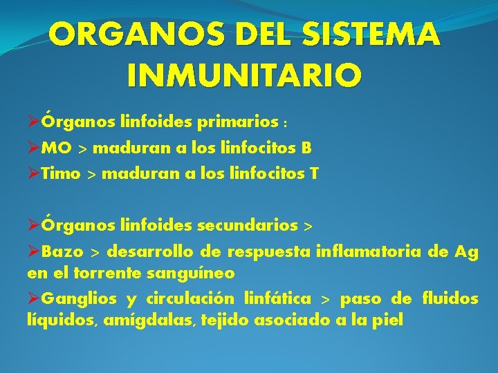 ORGANOS DEL SISTEMA INMUNITARIO ØÓrganos linfoides primarios : ØMO > maduran a los linfocitos