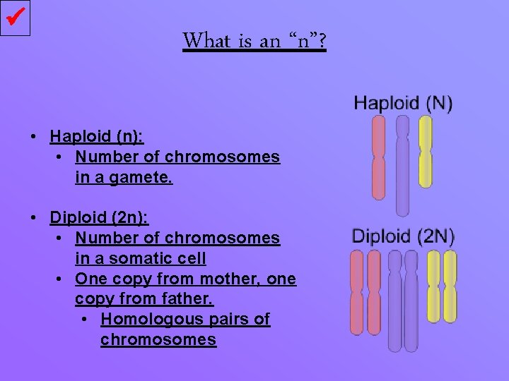  What is an “n”? • Haploid (n): • Number of chromosomes in a