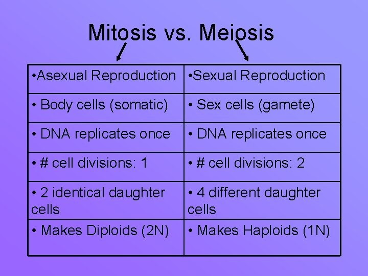 Mitosis vs. Meiosis • Asexual Reproduction • Sexual Reproduction • Body cells (somatic) •