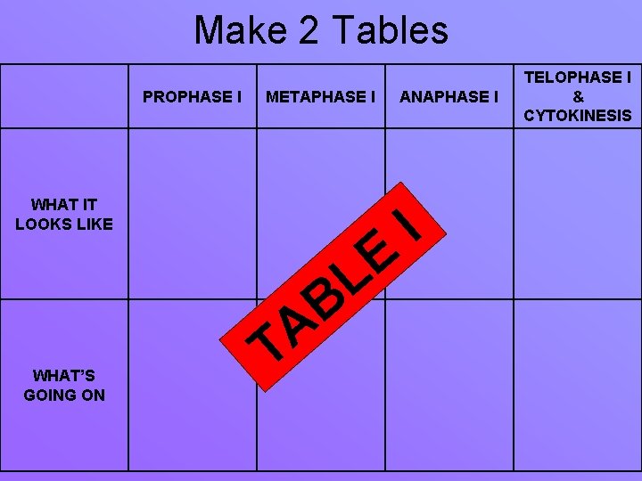 Make 2 Tables PROPHASE I METAPHASE I WHAT IT LOOKS LIKE WHAT’S GOING ON