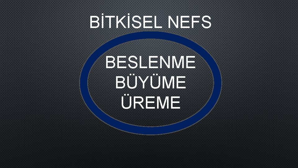 BİTKİSEL NEFS BESLENME BÜYÜME ÜREME 