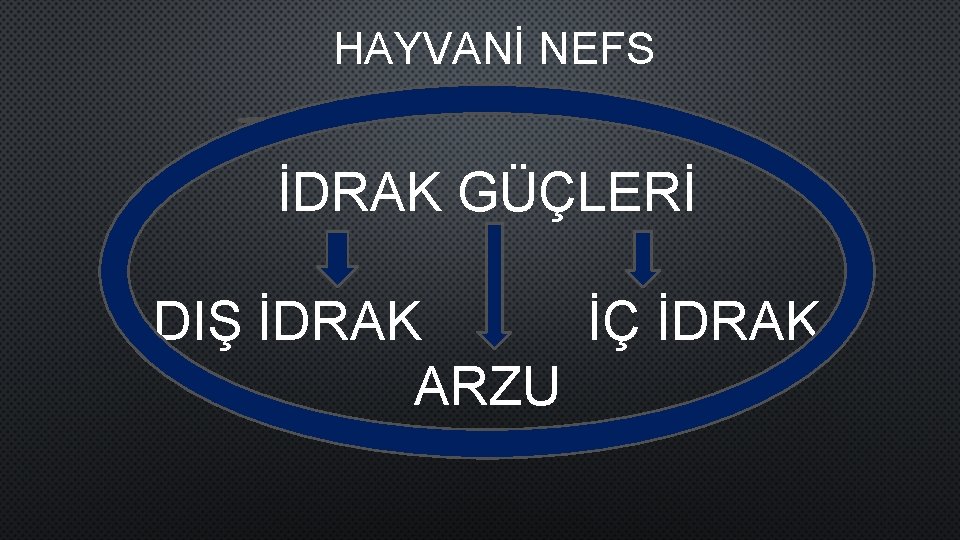 HAYVANİ NEFS İDRAK GÜÇLERİ DIŞ İDRAK İÇ İDRAK ARZU 