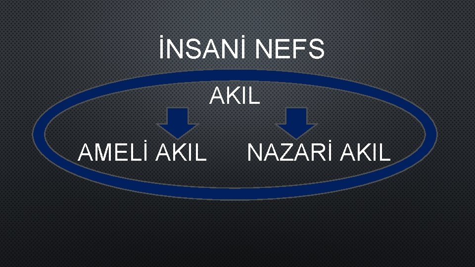 İNSANİ NEFS AKIL AMELİ AKIL NAZARİ AKIL 