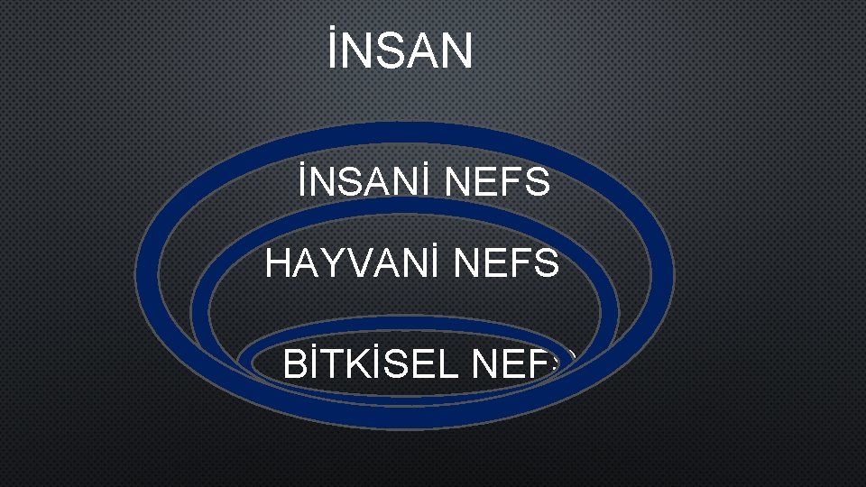 İNSANİ NEFS HAYVANİ NEFS BİTKİSEL NEFS 