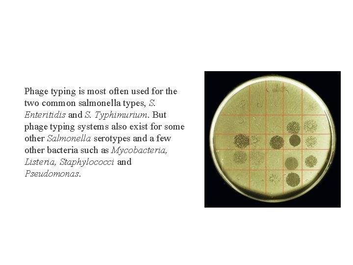Phage typing is most often used for the two common salmonella types, S. Enteritidis