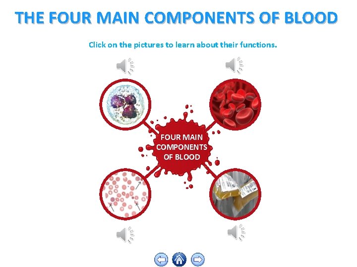 THE FOUR MAIN COMPONENTS OF BLOOD Click on the pictures to learn about their