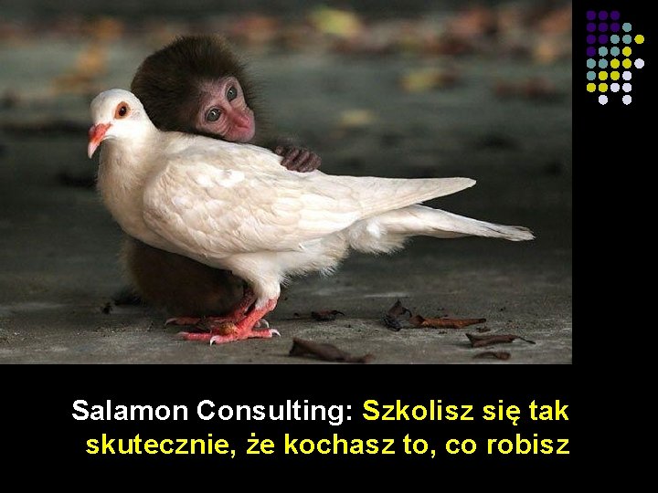 Salamon Consulting: Szkolisz się tak skutecznie, że kochasz to, co robisz 22 