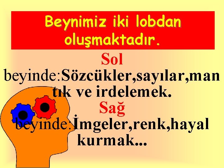 Beynimiz iki lobdan oluşmaktadır. Sol beyinde: Sözcükler, sayılar, man tık ve irdelemek. Sağ beyinde: