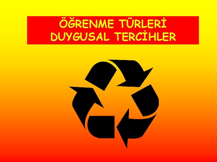 ÖĞRENME TÜRLERİ DUYGUSAL TERCİHLER 