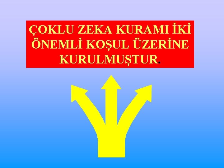 ÇOKLU ZEKA KURAMI İKİ ÖNEMLİ KOŞUL ÜZERİNE KURULMUŞTUR. 