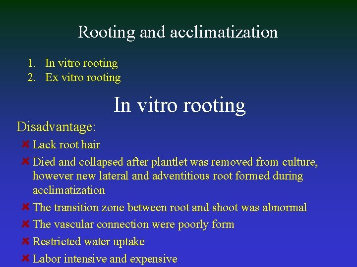 Rooting and acclimatization 1. In vitro rooting 2. Ex vitro rooting In vitro rooting