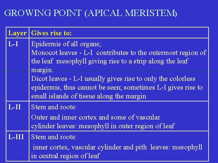 GROWING POINT (APICAL MERISTEM) Layer Gives rise to: L-I Epidermis of all organs; Monocot
