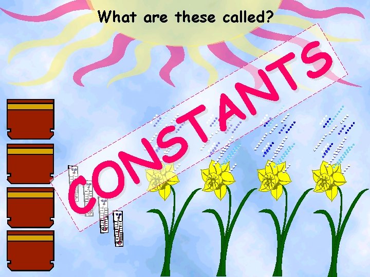 What are these called? S T N A T S N O C 