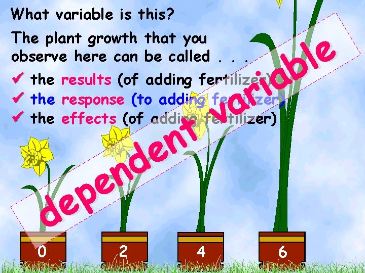 What variable is this? e l the results (of adding fertilizer) b a i