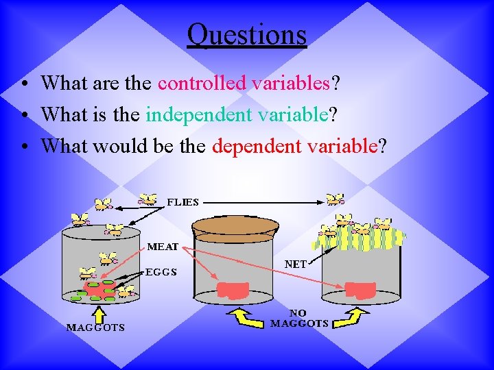 Questions • What are the controlled variables? • What is the independent variable? •