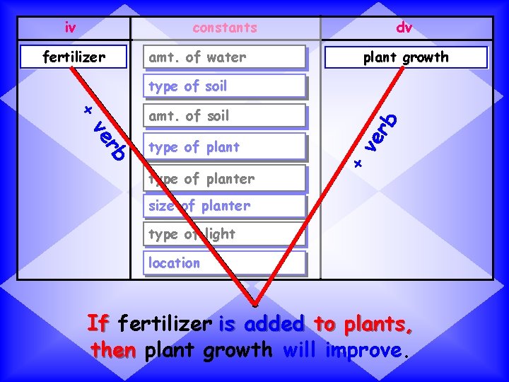 iv dv constants fertilizer amt. of water plant growth type of planter ve b