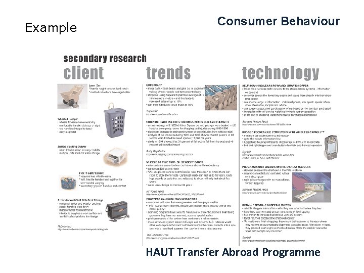 Example Consumer Behaviour HAUT Transfer Abroad Programme 