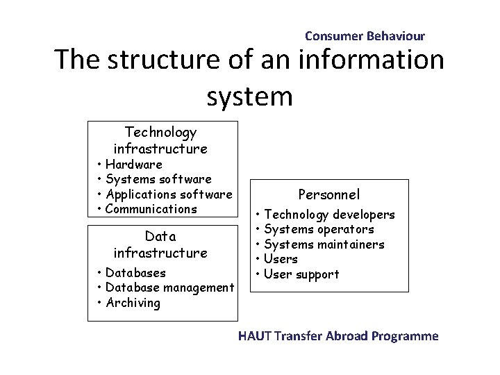 Consumer Behaviour The structure of an information system Technology infrastructure • Hardware • Systems