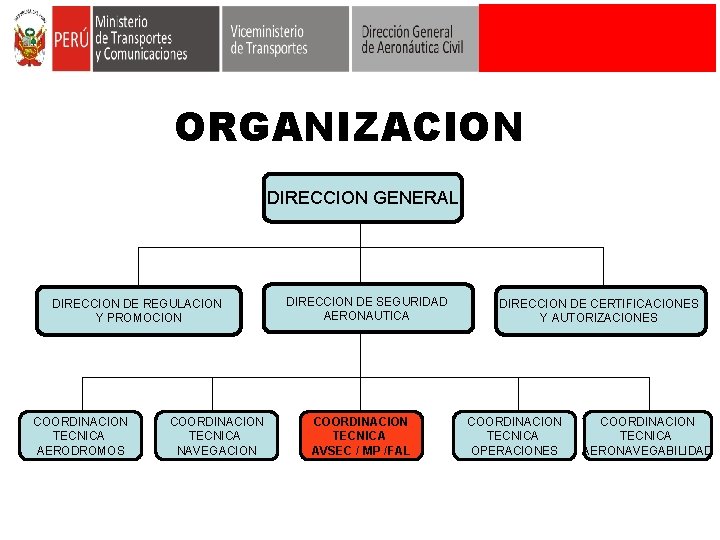 ORGANIZACION DIRECCION GENERAL DIRECCION DE REGULACION Y PROMOCION COORDINACION TECNICA AERODROMOS COORDINACION TECNICA NAVEGACION