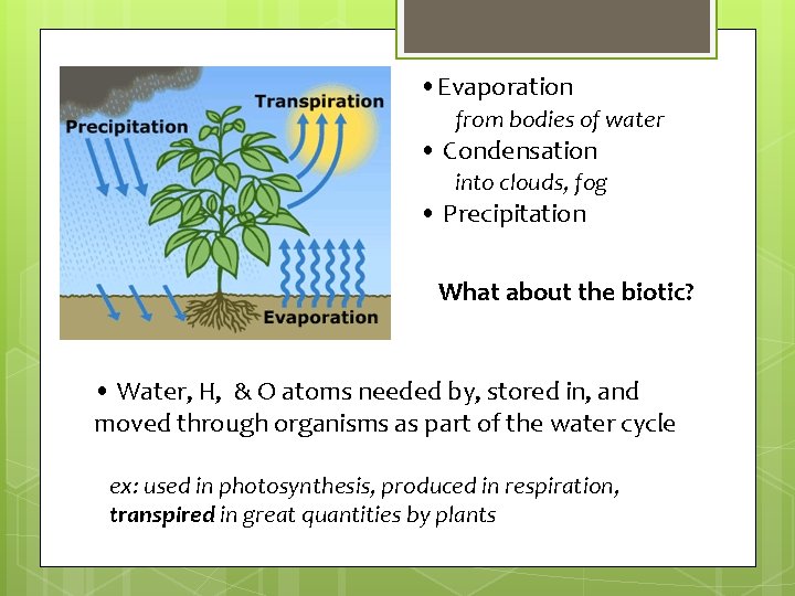 • Evaporation from bodies of water • Condensation into clouds, fog • Precipitation • Evaporation from bodies of water • Condensation into clouds, fog • Precipitation