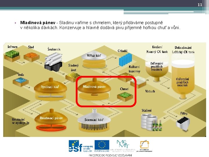 11 • Mladinová pánev - Sladinu vaříme s chmelem, který přidáváme postupně v několika