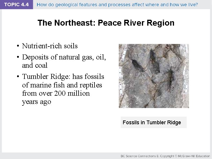 The Northeast: Peace River Region • Nutrient-rich soils • Deposits of natural gas, oil,
