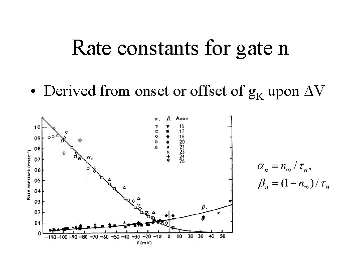 Rate constants for gate n • Derived from onset or offset of g. K