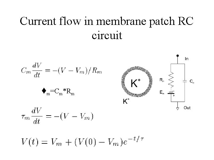 Current flow in membrane patch RC circuit tm=Cm*Rm 