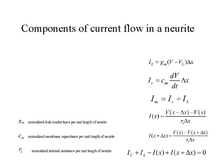 Components of current flow in a neurite normalized leak conductance per unit length of