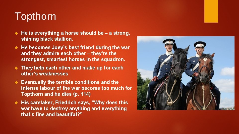 Topthorn He is everything a horse should be – a strong, shining black stallion.