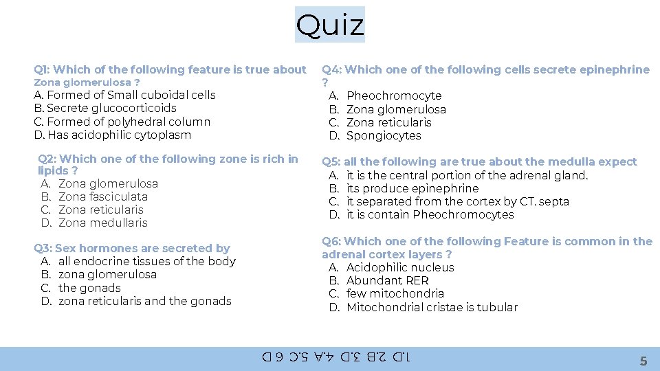 Quiz Q 1: Which of the following feature is true about Zona glomerulosa ?