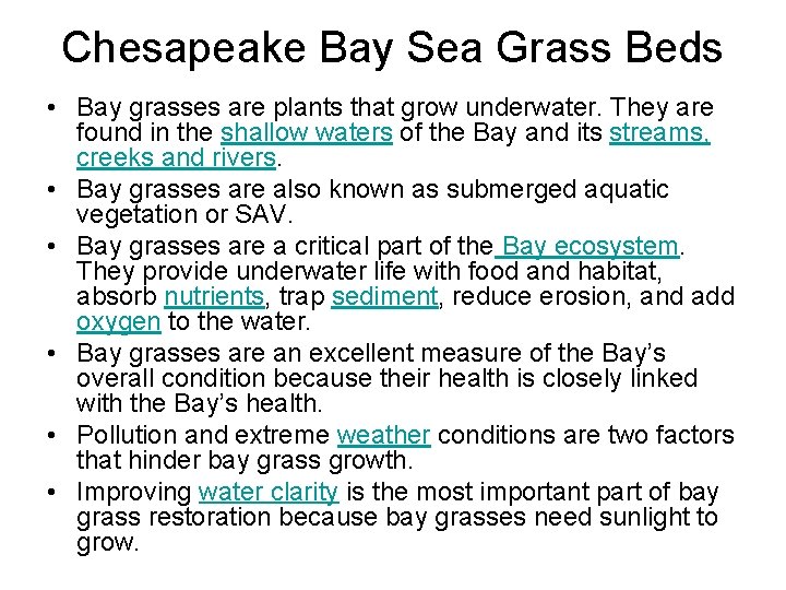 Chesapeake Bay Sea Grass Beds • Bay grasses are plants that grow underwater. They