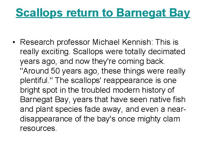 Scallops return to Barnegat Bay • Research professor Michael Kennish: This is really exciting.