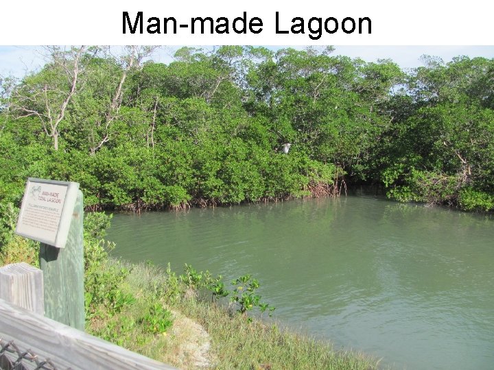 Man-made Lagoon 