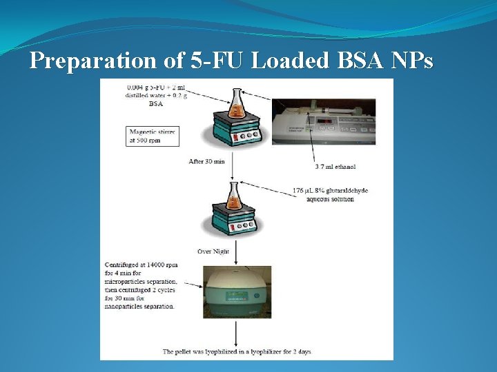 Preparation of 5 -FU Loaded BSA NPs 