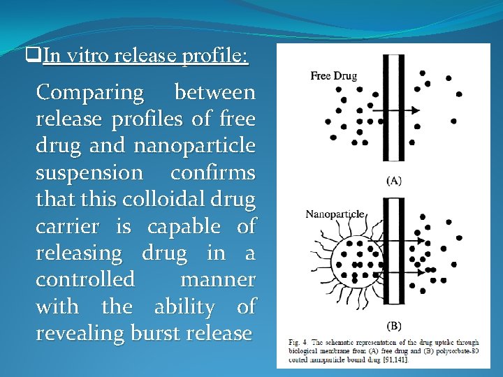 q. In vitro release profile: Comparing between release profiles of free drug and nanoparticle