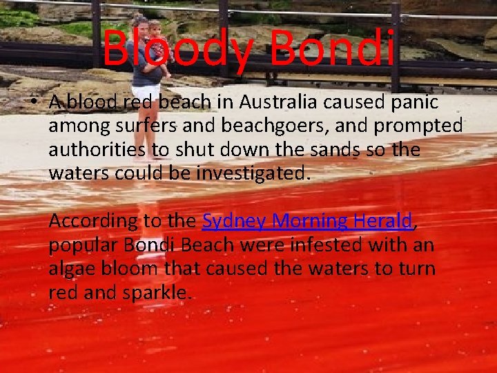 Bloody Bondi • A blood red beach in Australia caused panic among surfers and