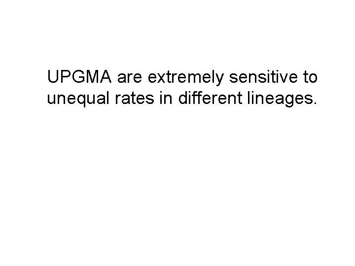 UPGMA are extremely sensitive to unequal rates in different lineages. UPGMA are extremely sensitive to unequal rates in different lineages.