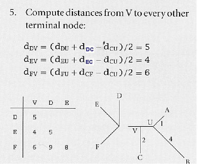 DC EC DC EC