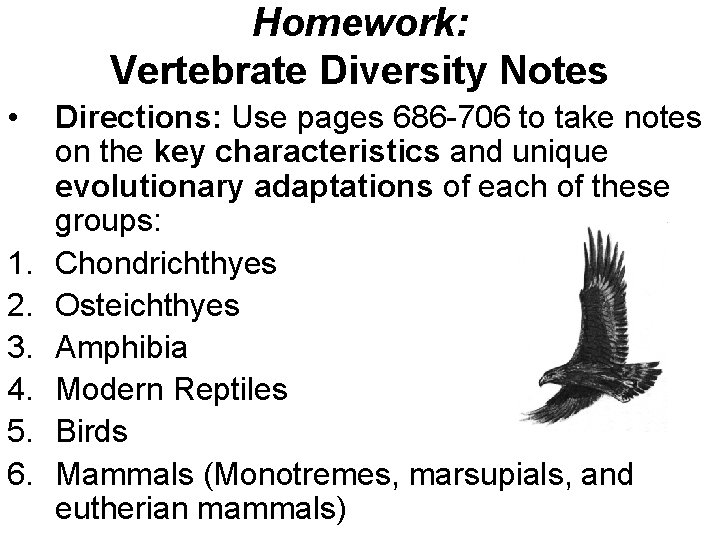 Homework: Vertebrate Diversity Notes • 1. 2. 3. 4. 5. 6. Directions: Use pages