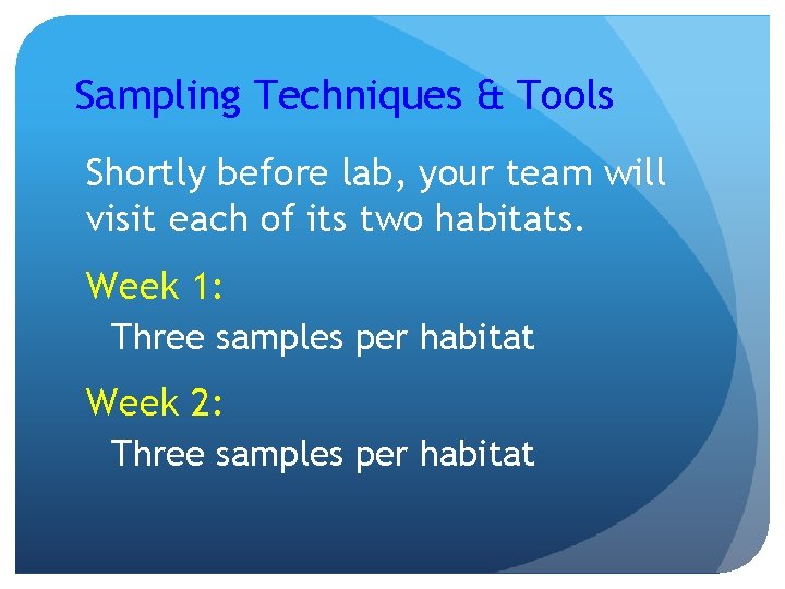 Sampling Techniques & Tools Shortly before lab, your team will visit each of its