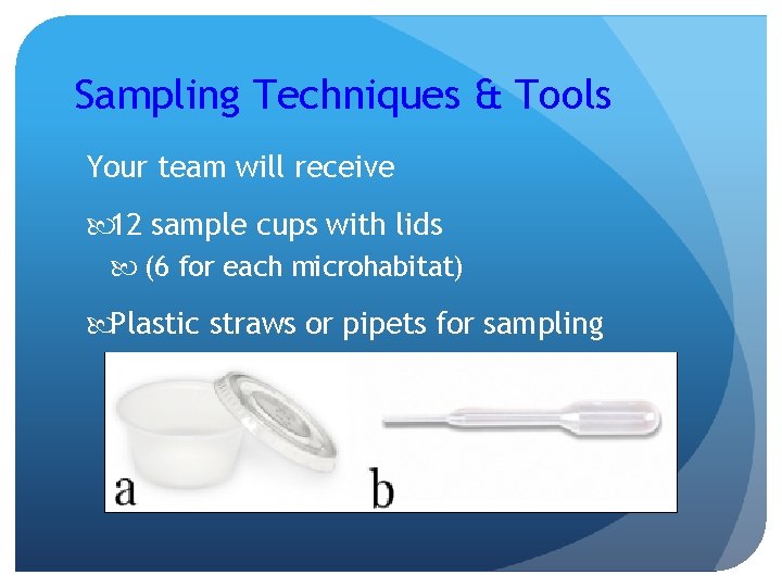 Sampling Techniques & Tools Your team will receive 12 sample cups with lids (6