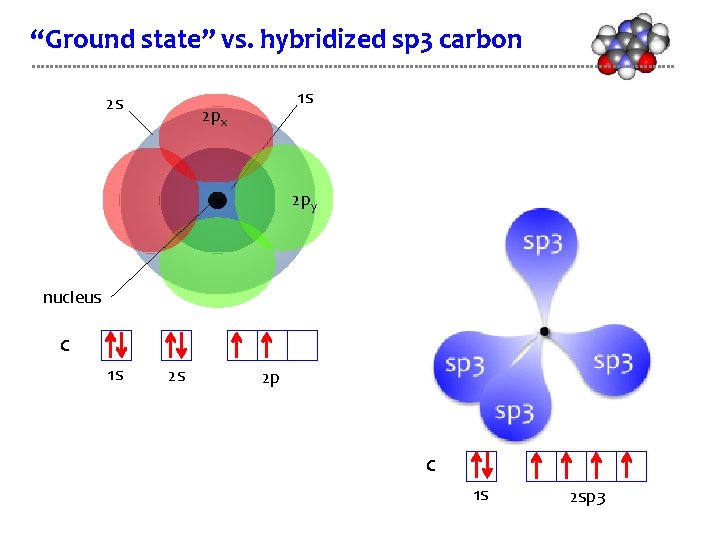 “Ground state” vs. hybridized sp 3 carbon 2 s 1 s 2 px 2