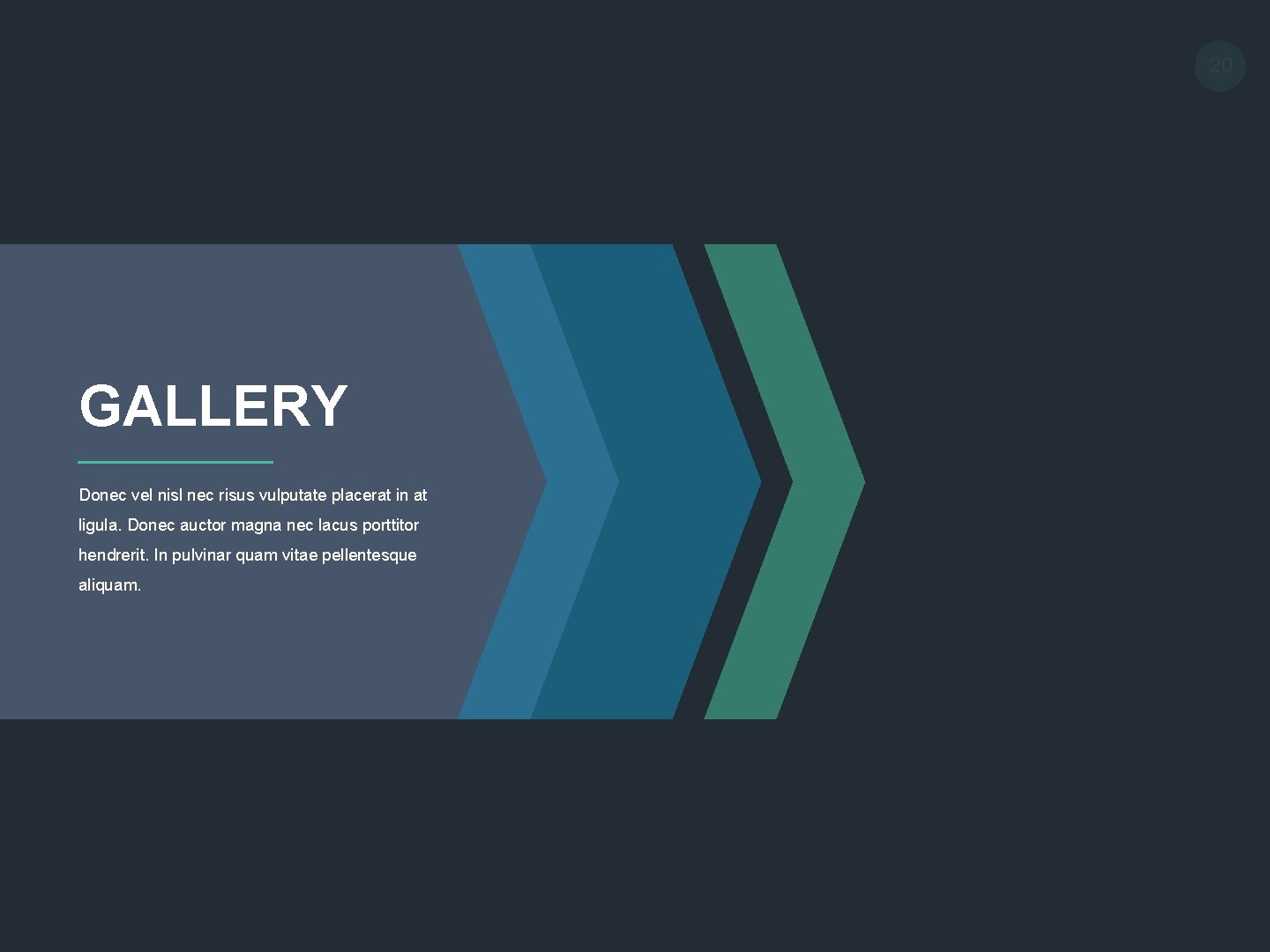 20 GALLERY Donec vel nisl nec risus vulputate placerat in at ligula. Donec auctor